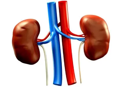 hepatitis