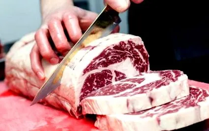 carnivore