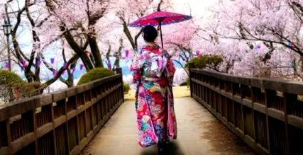 geisha