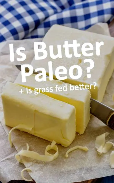 paleo