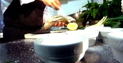 recomandări