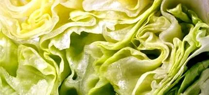 salata