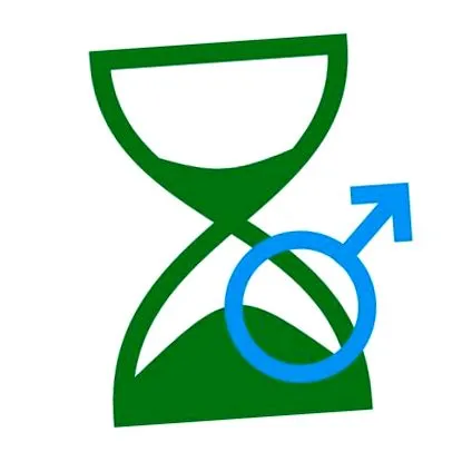 панел