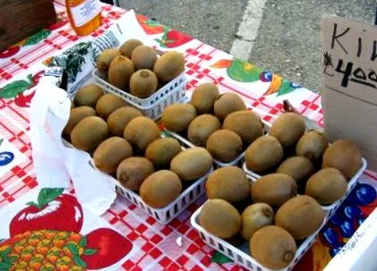 лилаво nutritionista