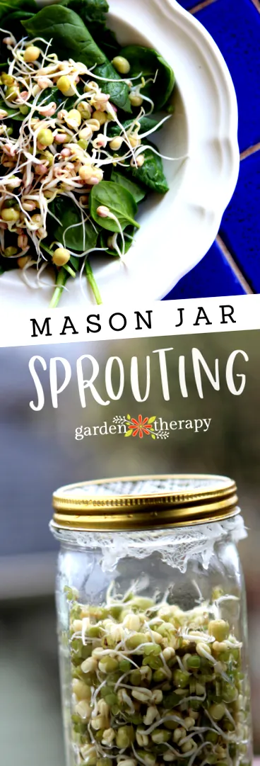 mason