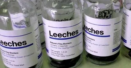 leech