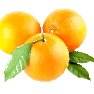 grapefruit