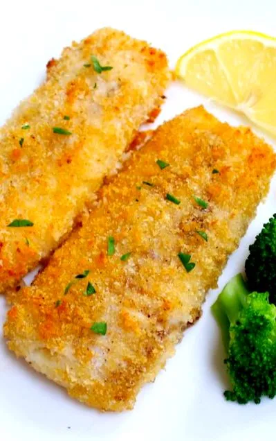 Haddock cuptor