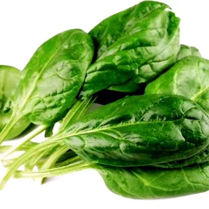 nutrition
