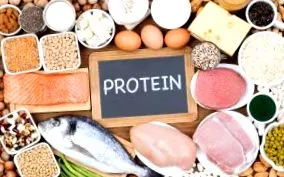 proteina