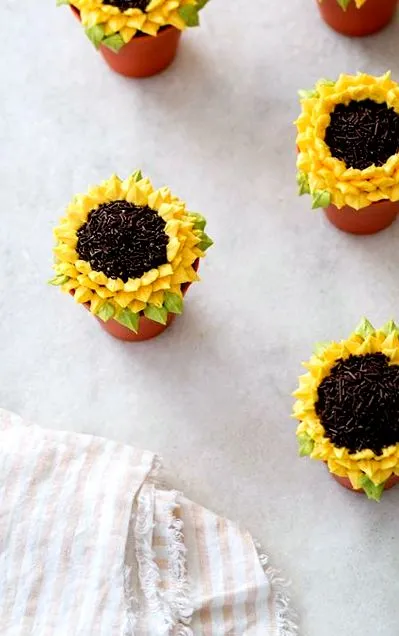 cupcakes