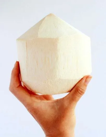 nucă cocos