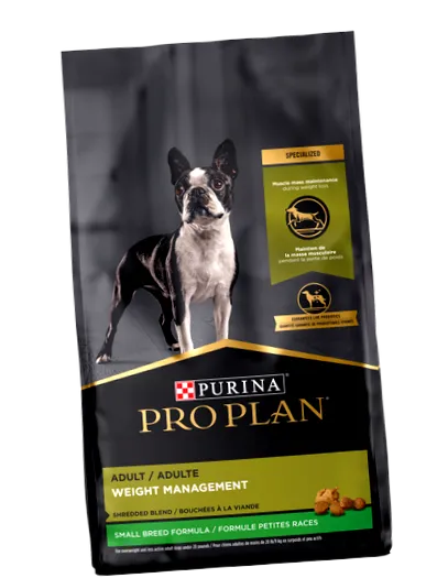 Royal Canin
