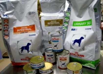 animalele companie