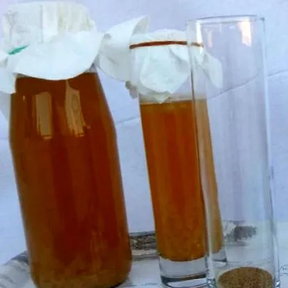 fermentációs
