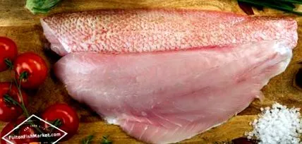 Snapper roșu