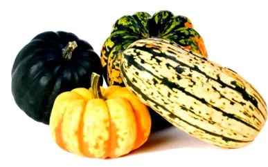 squash