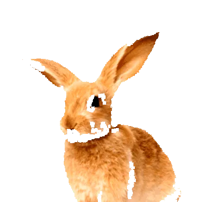 болест