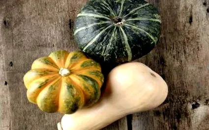 squash