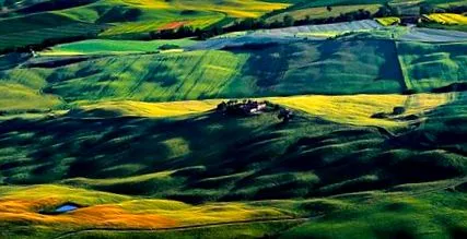 alimentare