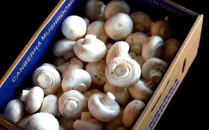 здравословно