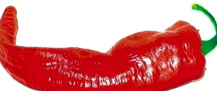 Cayenne bors