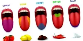 taste fifth