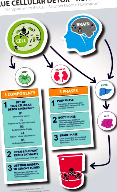 Cellular Detox