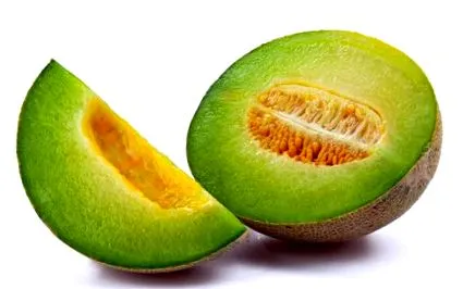 alimenta