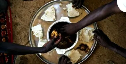 nyugat-afrikaiak