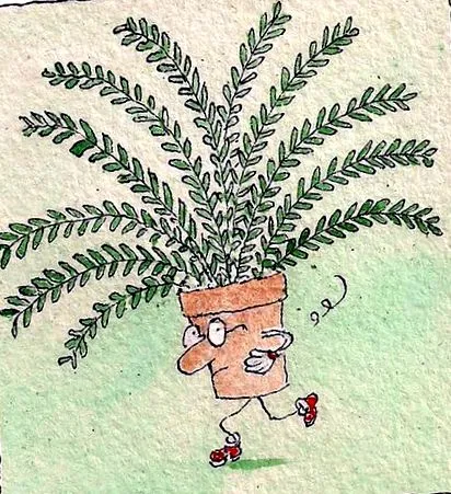 защо защо