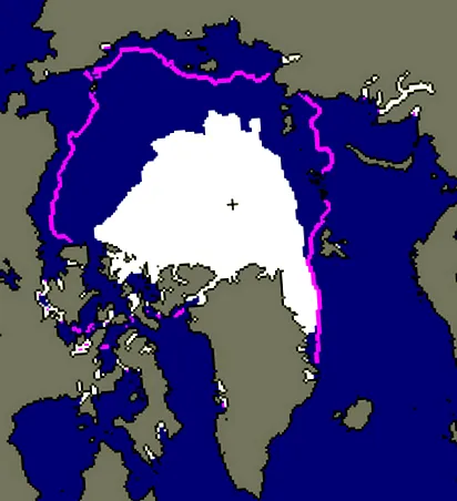 морски кога
