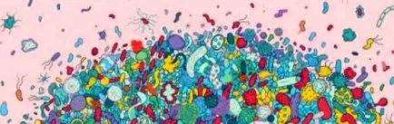 microbiomul