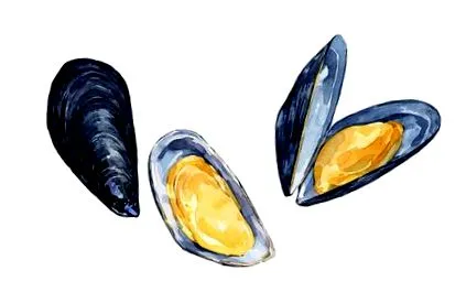 ползи