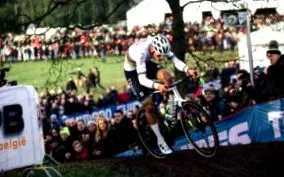 poel