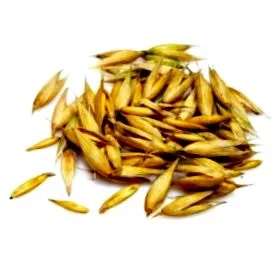овесени