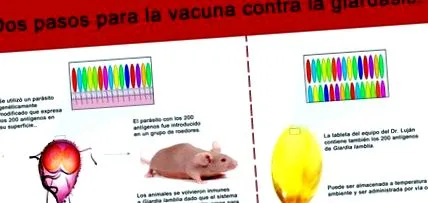 giardia