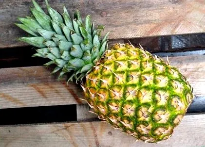 диета