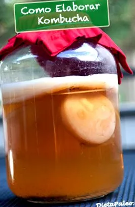 kombucha