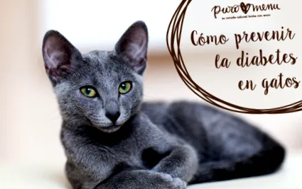 puromenu