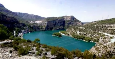 палас