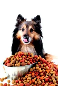 wikipets