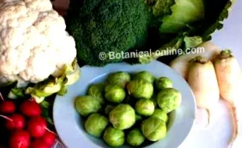 захворюваннях печінки великою кількістю