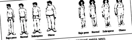 talca