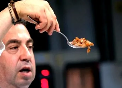 подложиха