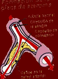 health