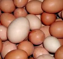 храна