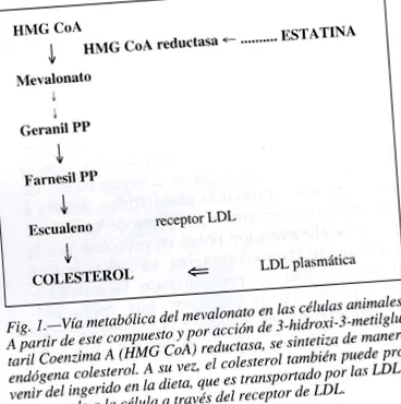 Clin Pharmacol Ther Clin Pharmacol Ther
