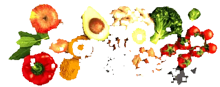 glut1