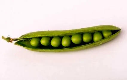 какво